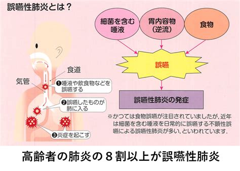 訪問歯科 溝の口 作間歯科