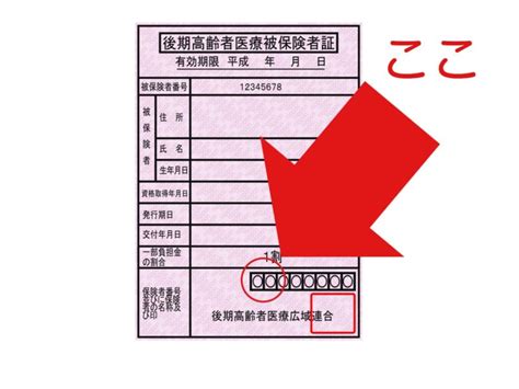 保険証確認を保険種類別に解説！②法別番号の重要性｜医療事務の仕事術 こあざらしのつぶやき｜医療事務ブログ