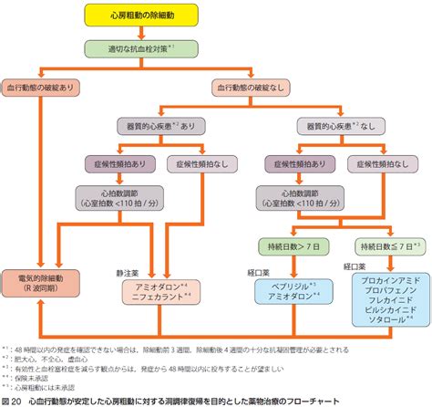 2020313（金）、日本循環器学会「2020年改訂版不整脈薬物治療ガイドライン」の心房細動・心房粗動のページの内容をまとめました