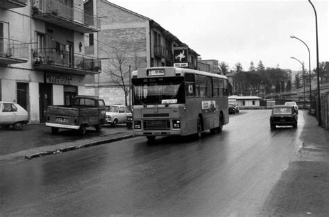 Potenza Miccolis Ex COTRAB BusBusNet Forum