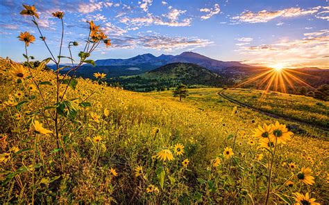 Flagstaff sunset, hills, summer, beautiful nature, Arizona, USA ...