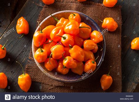 Habanero pepper hi-res stock photography and images - Alamy