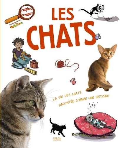 Les chats de Stéphanie Ledu Album Livre Decitre