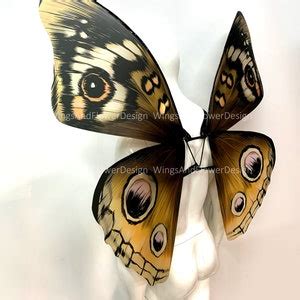 Brown Swallowtail Butterfly Wings, Butterfly Fairy Wings Fairy Wings, Brown Swallowtail, Fantasy ...