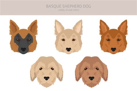 "Basque Shepherd" Images – Browse 28 Stock Photos, Vectors, and Video ...