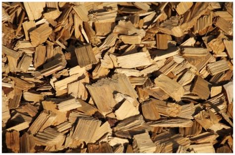 Composting Wood Chips: A Beginner's Guide