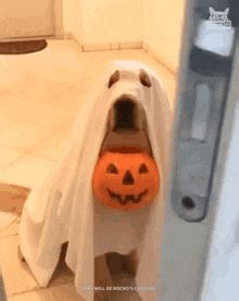 Halloween Discord GIF - Halloween Discord - Discover & Share GIFs