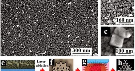 Msc Cristiana Furlan Caporrino Blog De Engenharia Laser Transforma