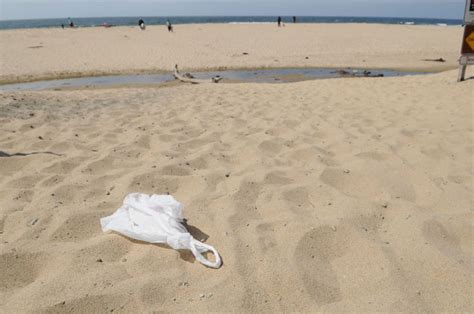 Single Use Plastic Bag Ban Signed In California California Ocean