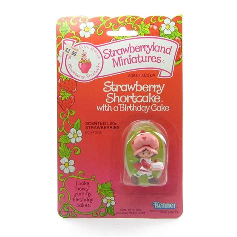 Strawberry Shortcake With A Birthday Cake MOC Factory Sealed Miniature