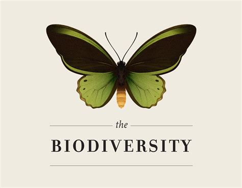 The Biodiversity Infographic On Behance