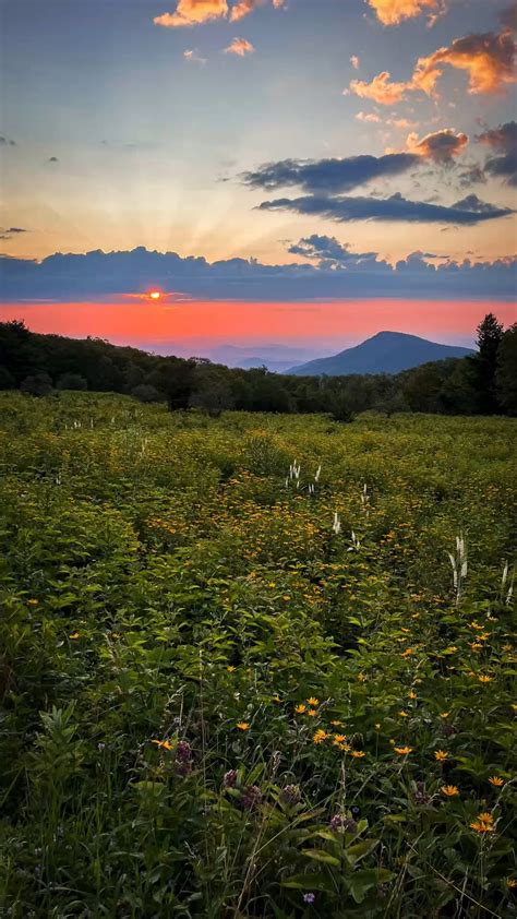 Sunrise shenandoah national park – Artofit