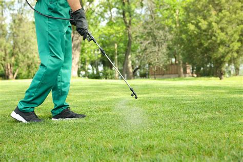 8 Superior Lawn Pest Control For 2024 Storables