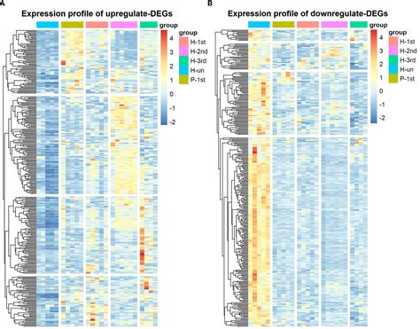 Frontiers Transcriptome Analysis Of Peripheral Blood Mononuclear