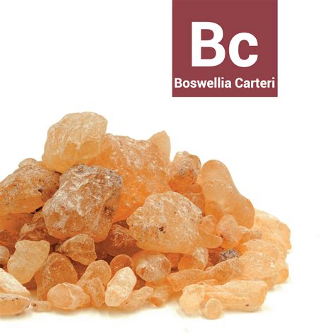 Frankincense, Boswellia Carteri – Dauphine Organics