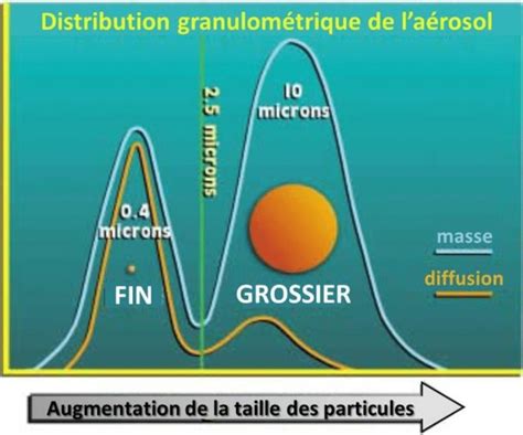 Volution En Fonction De La Taille Des Particules De La Distribution