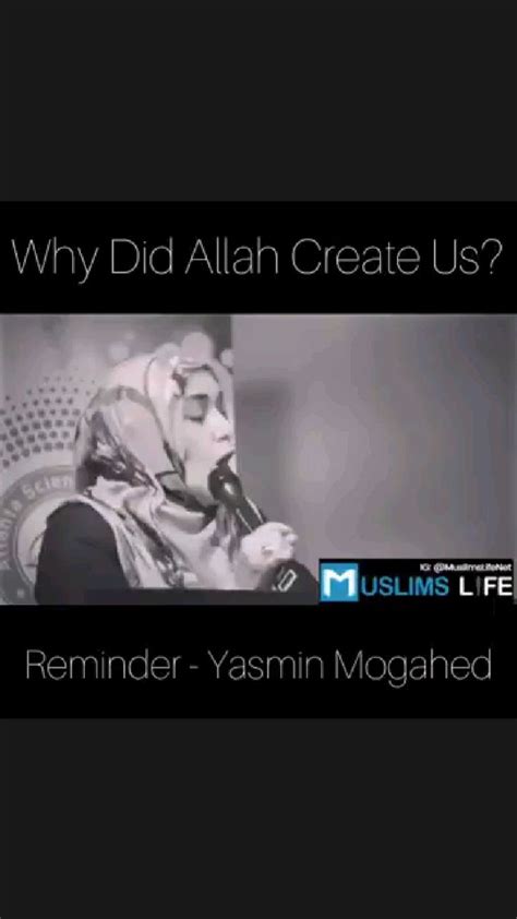 Why Did Allah Create Us An Immersive Guide By