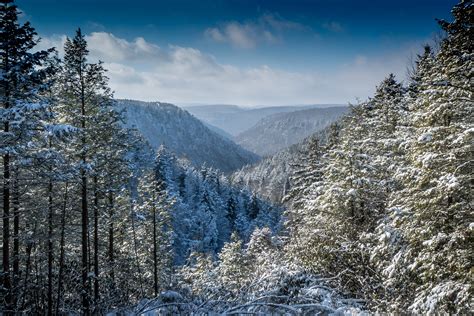 Winter Bliss at Blackwater Falls State Park - Canaan Valley, WV : Canaan Valley, WV