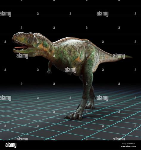 Model Of A Aucasaurus Dinosaur Stock Photo Alamy