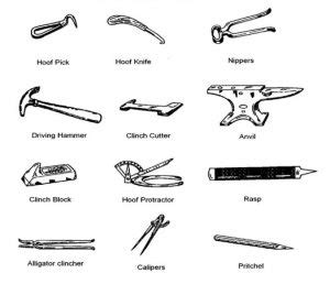 FARRIER TOOLS | Horse Courses Online