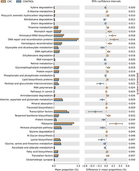 Predicted Gut Microbiome Metabolic Functions At Kegg Pathway Level