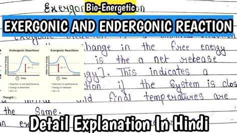 Exergonic And Endergonic Reaction Bioenergetics Complete Discussion