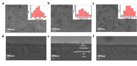 Top View Fesem Images Of Perovskite Crystals Grown On A The Pristine