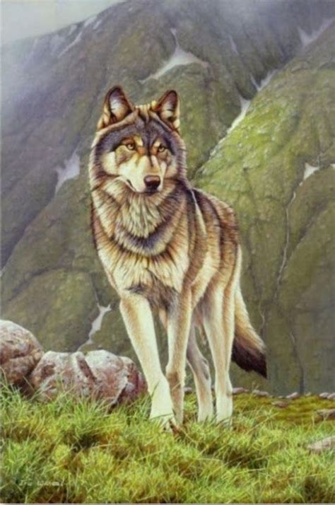 Awesome Majestic Wolf Paintings that will Leave You Amazed - photofun 4 ...