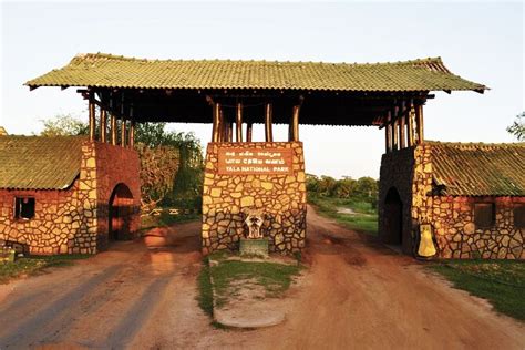 Yala Safari Au Parc National De Yala Visite Priv E