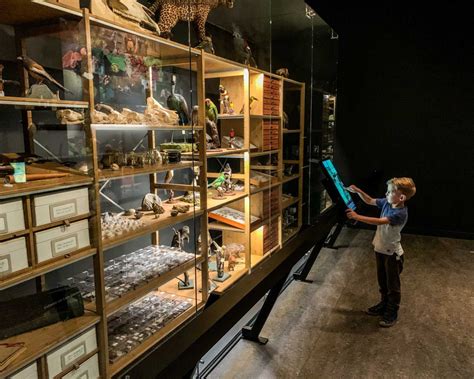 Tips Voor Bezoek Aan Het Natuurmuseum Brabant In Tilburg