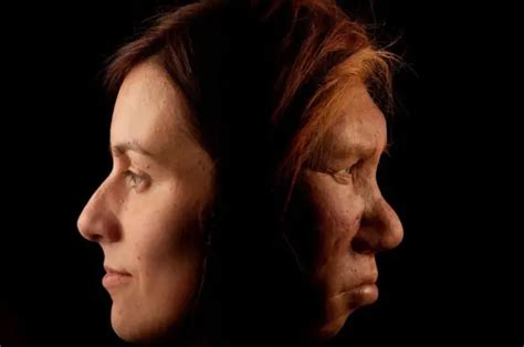 Apa Yang Kita Ketahui Tentang Kehidupan Seks Kaum Neanderthal Bbc News Indonesia