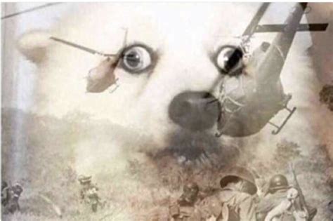 vietnam dog Blank Template - Imgflip