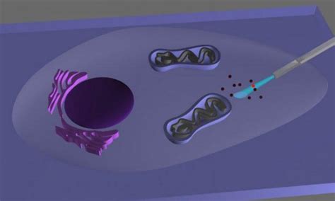 Nanotechnology Shines A Light Inside Cells The Epoch Times