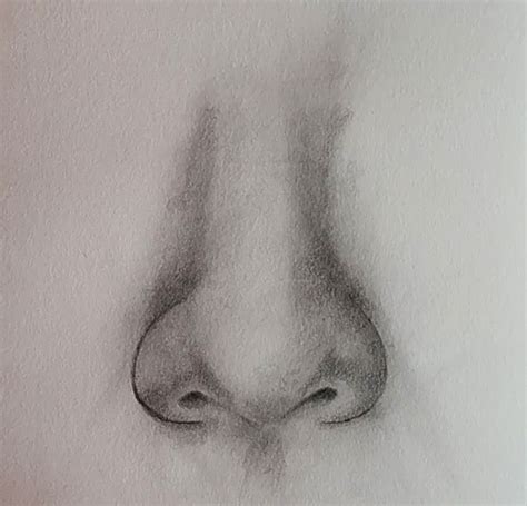 How To Draw Nose Front View Lov Arts Easy Drawing Techniques