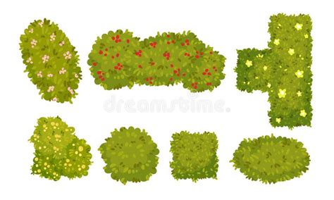 Shaped Green Bushes Planted In Parks And Gardens Above View Vector Set