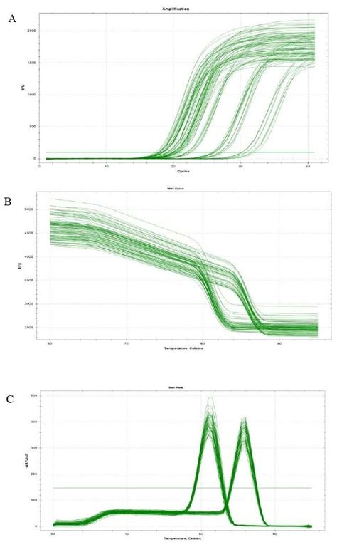 Figure S3 Amplification Curves Of Sybr Green Based Real Time Qpcr