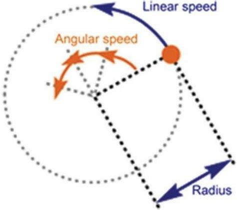 An example of linear speed and angular speed | Download Scientific Diagram