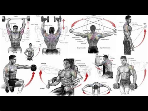 Best Shoulders Workout With Barbell Dumbells And Cable Youtube