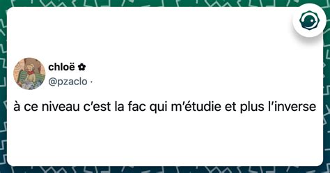 Les Meilleurs Tweets De La Jeunesse Twog