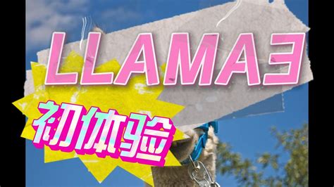 Llama3初体验，使用ollama本地安装使用llama3，llama3 一键本地部署 ！100 保证成功，轻松体验无需gpu