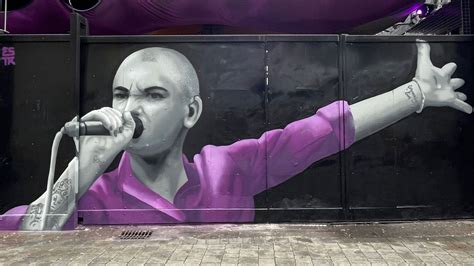 Emmalene stunning mural of Sinead O’Connor | Echo.ie