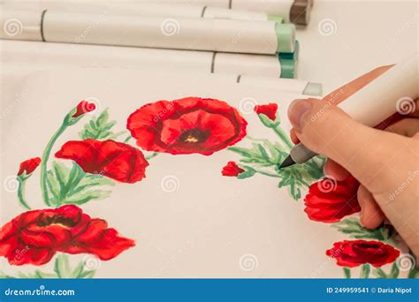 Hand Drawing A Red Poppy Wreath Sketch In A Sketchbook With Alcohol