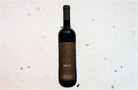 Merlot – wine amazing