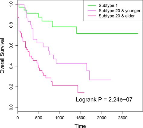 The Kaplan‐meier Survival Curves For Samples Classified By Methylation Download Scientific