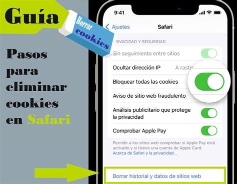 Gu A Para Borrar Cookies Paso A Paso En Iphone E Ipad