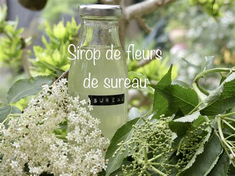 Sirop De Fleurs De Sureau Gris Fluo Green