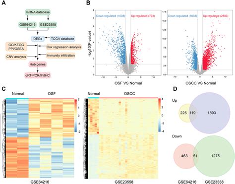 Identifcation Of Degs In Geo Database A Flow Chart For Download Scientific Diagram