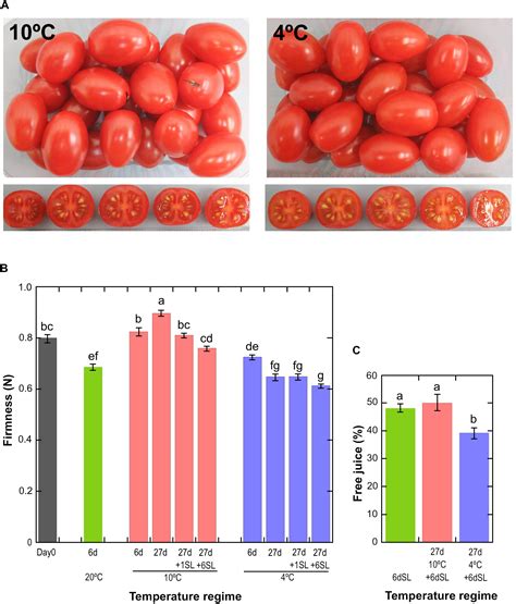 Frontiers Transcriptome Responses Of Ripe Cherry Tomato Fruit Exposed