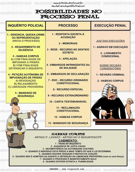 Cabimento Dos Recursos No Processo Penal Entendeu Direito Direito