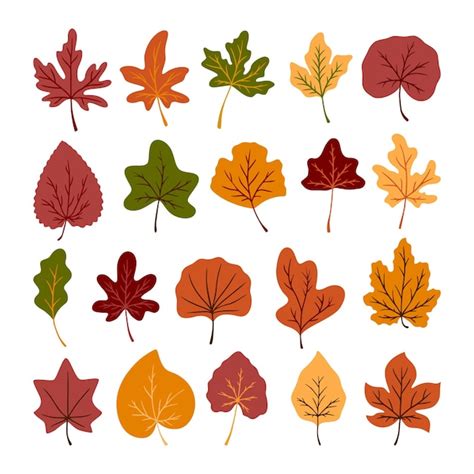 Premium Vector Set Of Autumn Leaves Vector